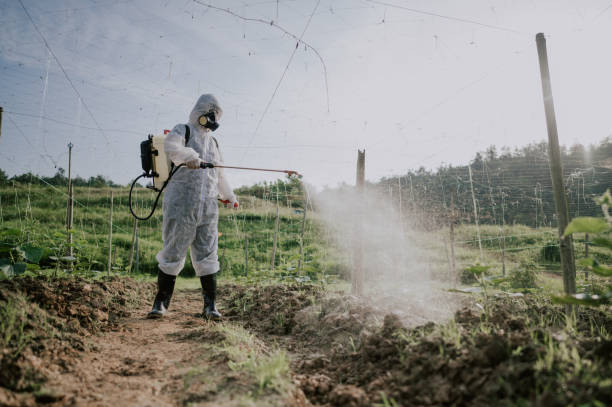 Best Best Pest Control Companies  in Monticello, NY