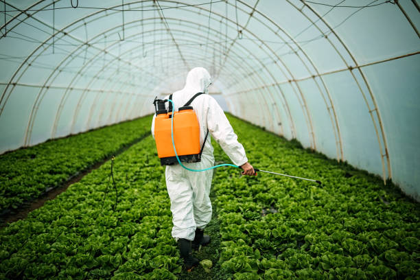Best Pest Control Near Me  in Monticello, NY