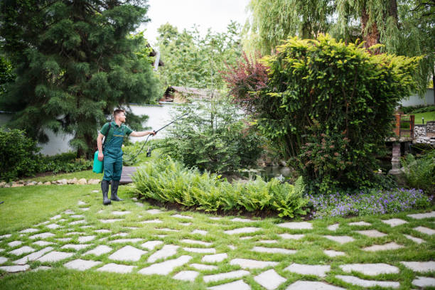 Best Best Pest Control Companies  in Monticello, NY