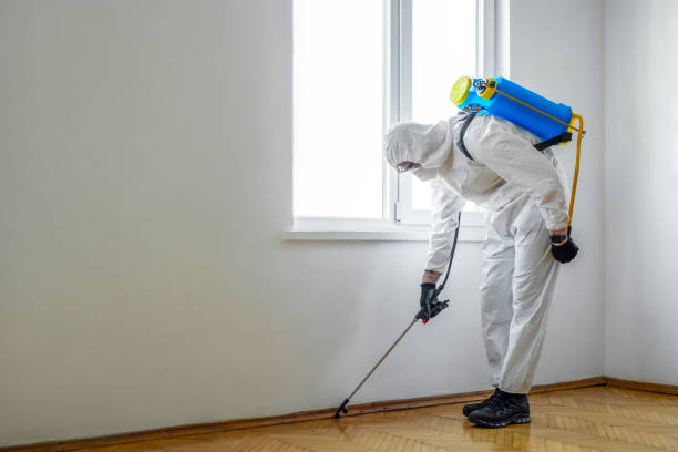 Trusted Monticello, NY Pest Control Experts