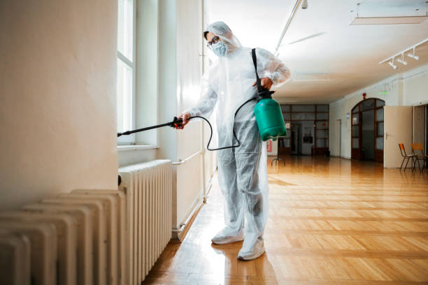 Best Local Pest Control Services  in Monticello, NY
