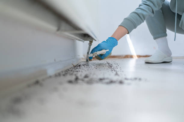 Best Affordable Pest Control Services  in Monticello, NY