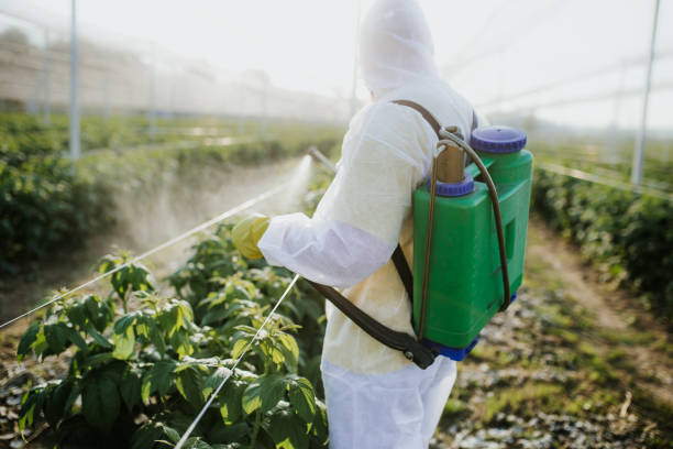 Best Pest Prevention Services  in Monticello, NY